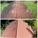 Pristine Exterior Clean - Roof Cleaning