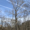 Friendly Tree Service Inc gallery