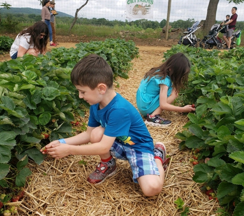 Ort Farms - Long Valley, NJ