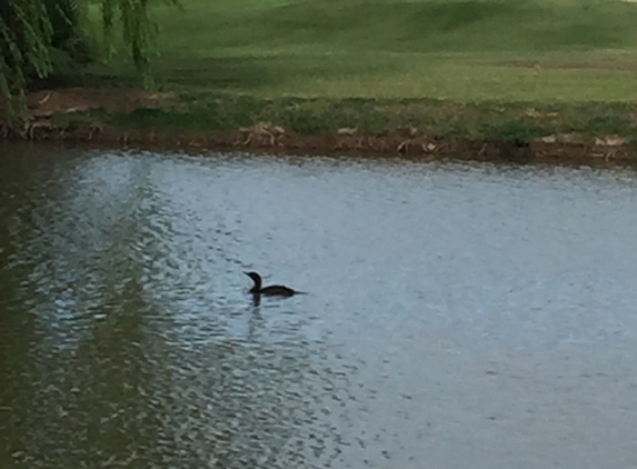 Emerald Canyon Golf Course - Parker, AZ