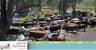 Central Highlands Council