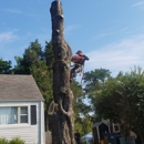 Arels Tree Service - Tree Service