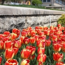 Keesen Landscape Management - Landscape Designers & Consultants