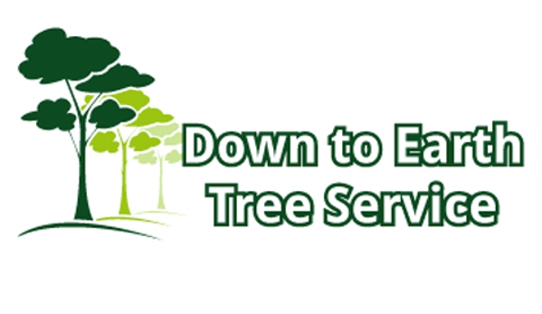 Down To Earth Tree Service - Crown Point, IN