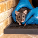 Graham Pest Solutions - Pest Control Equipment & Supplies