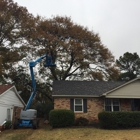 Desoto Tree Service