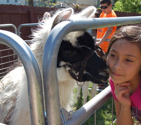 Pony Pals Party Ponies - Ashland City, TN