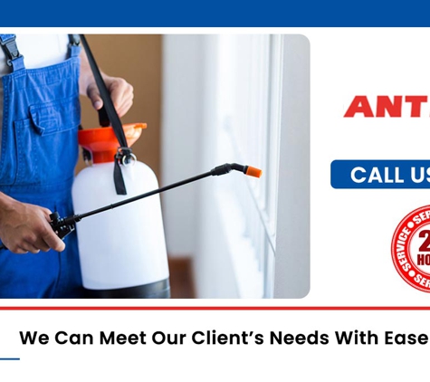 Antibug Pest Management - Castle Hill, NSW. We Can Meet Our Client’s Needs With Ease