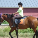 Equi-librium with Dorothy Crosby - Horse Equipment & Services