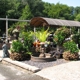 Shadycreek Nursery & Garden, Inc.