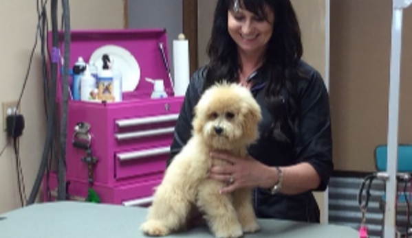 Pet Grooming By Chris - Twin Falls, ID