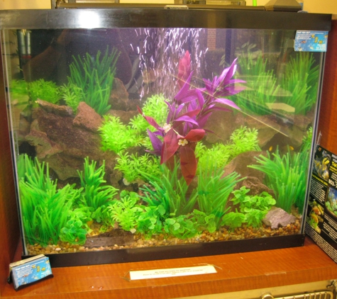 AQUARIUMS FOR LIFE! Aquarium Maintenance Service,  Formerly "That Fish Guy"