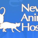 Newport Animal Hospital - Veterinary Clinics & Hospitals