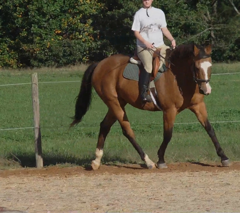 Sarah's Horse and Pet Services - Stokesdale, NC