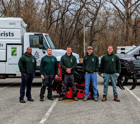 Green Holly Arborists