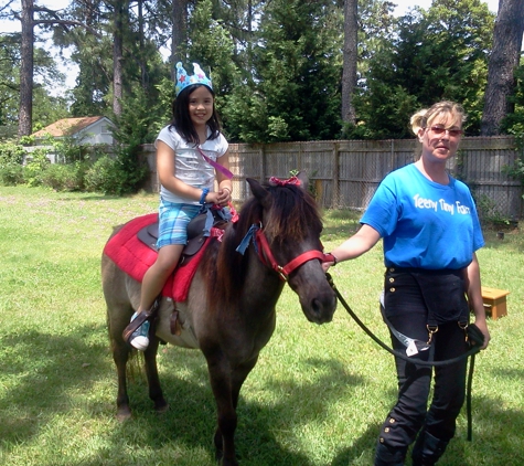 Teeny Tiny Farm Traveling Pony - Elberon, VA