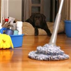 Krisp and Clean Cleaning Service