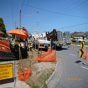 Gallery Image Number 7
