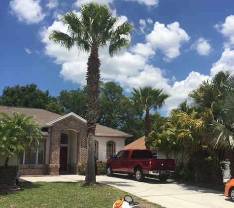 Quality tree service - Hudson, FL