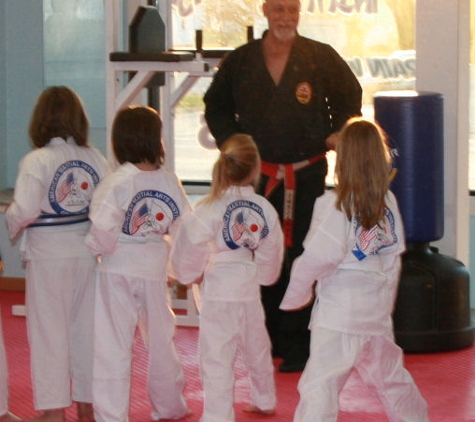 American Martial Arts Inst - Cedar Springs, MI