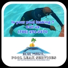 Blue Magic Pool Nic Services Corp