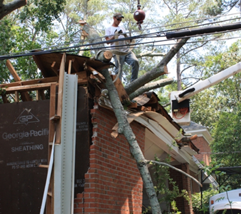 Pioneer Tree Service - West Columbia, SC