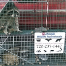 Colorado Wildlife Control - Animal Removal Services