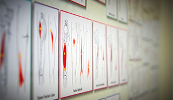 Erina Podiatry