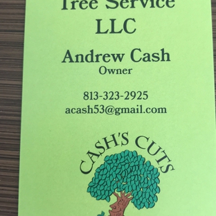 Cash’s Cuts Tree Service LLC - Tampa, FL