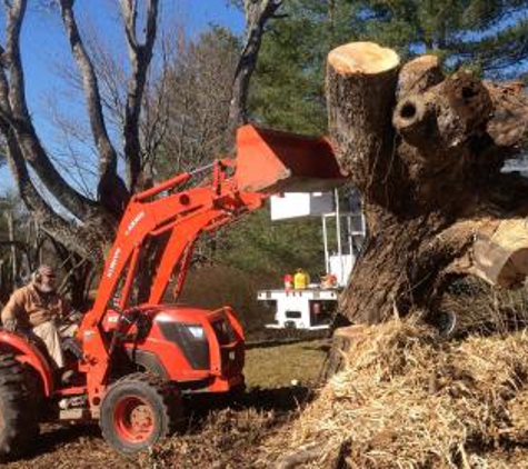 Men In Green Tree Service - Arrington, TN