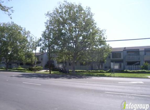 Pinewood Apartments - San Jose, CA