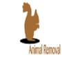 A-1 Nuisance Animal Removal