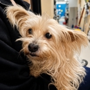 Happy Tails Animal Hospital - Veterinarians