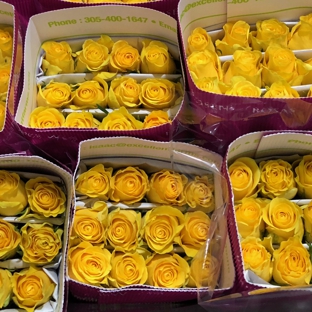 Excellent Flowers Inc. - Doral, FL. Buy Fresh roses, door to door service, on www.excellentflowersdirect.com