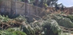 WW Tree & Garden Service - Tree & Stump Removal Services
