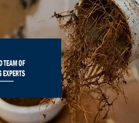 Jetset Electrical - Bowen Hills, QLD. Dedicated Team Of Kitchen Plumbing Experts