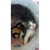 Petstock Vet Hospital - Altona North - Veterinary Animal Clinics & Hospitals