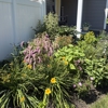 Greenleaf’s Garden Design gallery