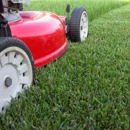 Affordable Lawn Maintenance - Landscaping & Lawn Services