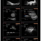 Diagnostic Medical Imaging - Marc H Simonson MD