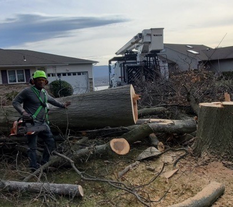 4 Seasons Tree Service - Newburgh, NY