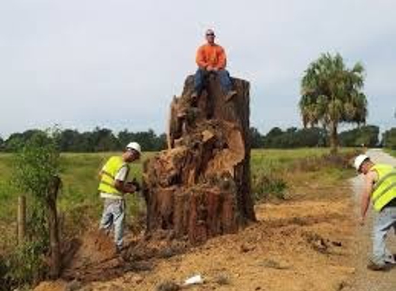 Arbor Works Tree Experts, LLC - Melbourne, FL