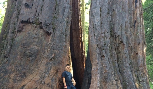 Calaveras Big Trees State Park - Arnold, CA