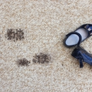 Master Rug Cleaner - Carpet & Rug Cleaners