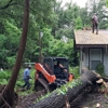 C & M Tree Service gallery
