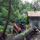 C & M Tree Service - Tree Service