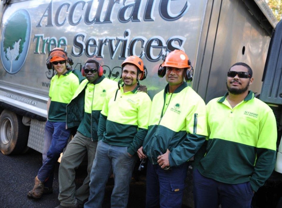 A Accurate Tree Services - Joyner, QLD