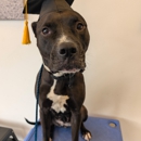 Dog Training Elite Greater Cleveland - Pet Training