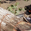 Carrick's Tree Service - Tree Service