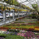 Flower Barn Nursery - Nurseries-Plants & Trees